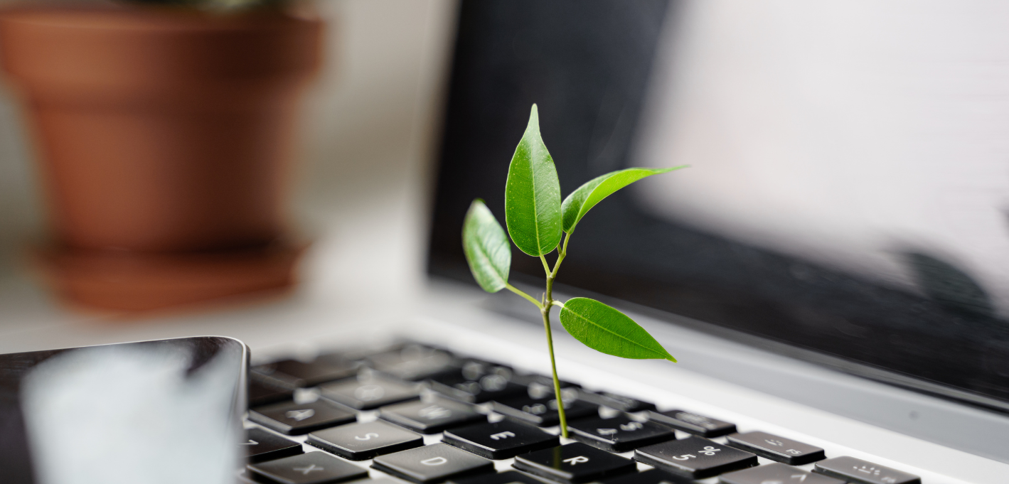 Essentials of Sustainability program hero banner