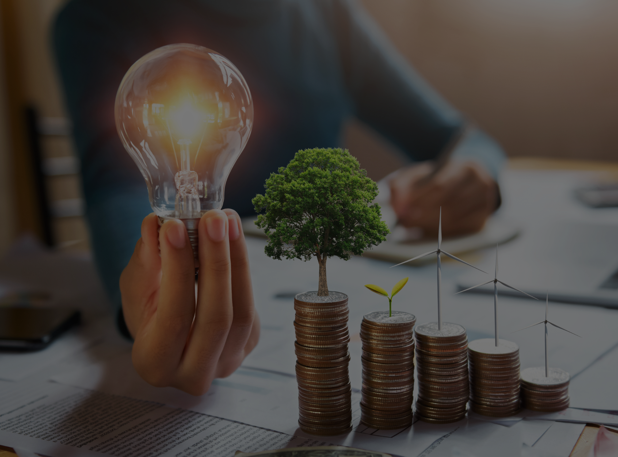 ONL - EMSS Module - Hero Banner Sustainable Financed